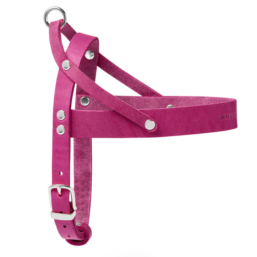 Butter Leather Dog Harness - Flamingo
