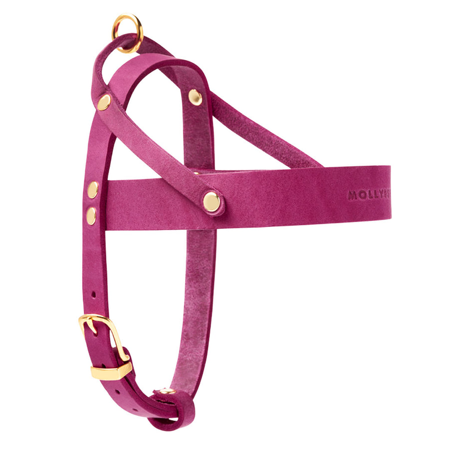 Butter Leather Dog Harness - Flamingo