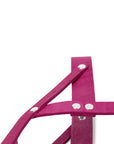 Butter Leder Hundegeschirr - Flamingo