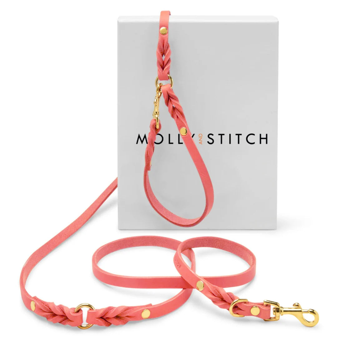 LEASHES – Molly and Stitch