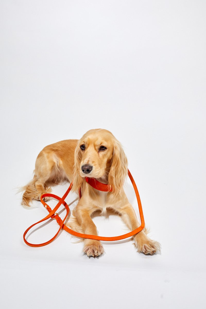 Butter Leather 3x Adjustable Dog Leash - Mango