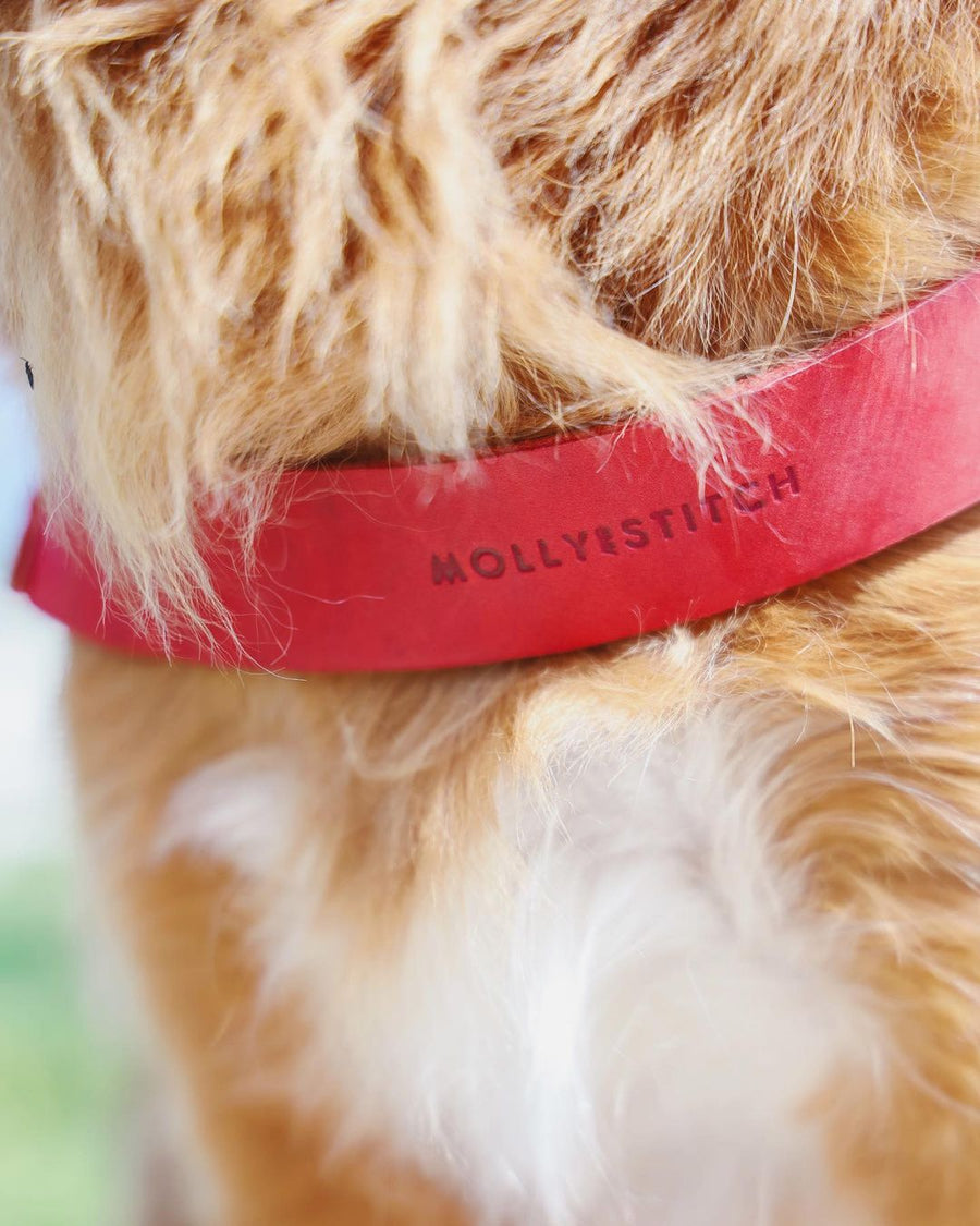 Butter Leather Dog Harness - Chili Red