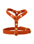 Butter Leather Y-Harness - Mango