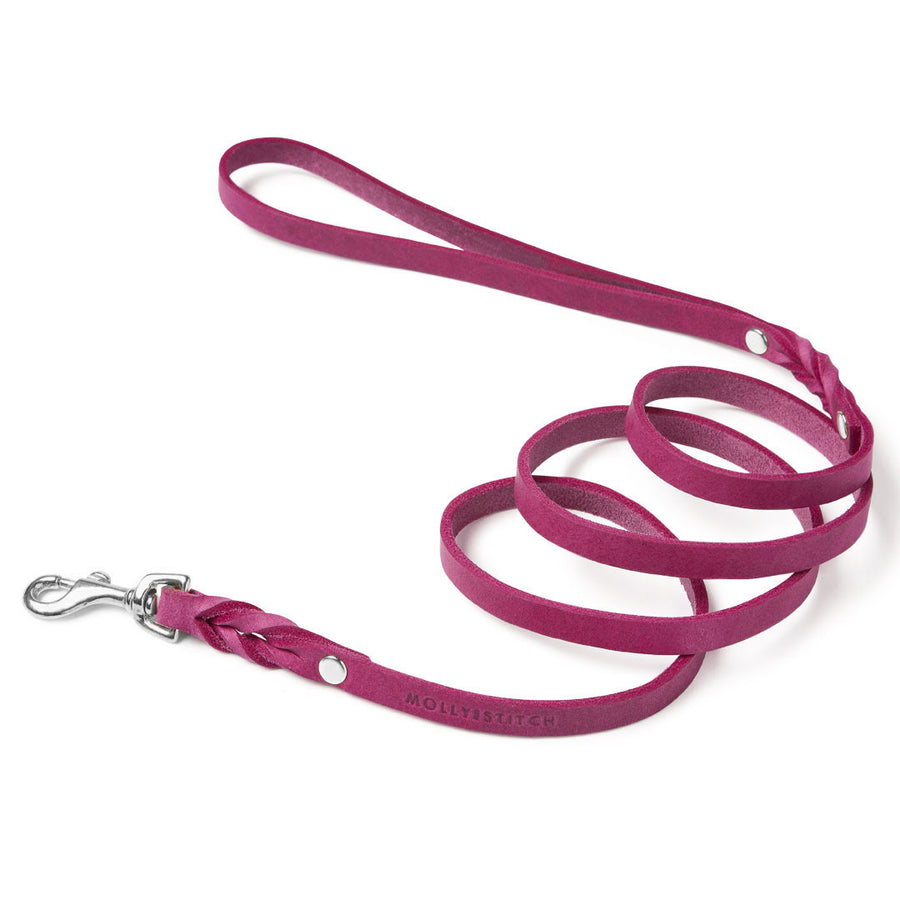 Butter Leather City Dog Leash - Flamingo