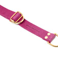 Butter Leather Retriever Dog Collar - Flamingo