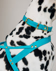 Butter Leder Hundegeschirr - Fiji Blau