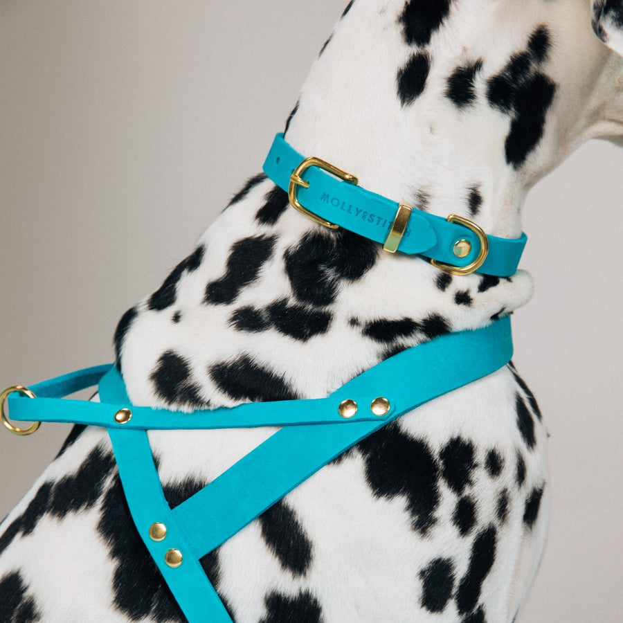 Butter Leather Dog Harness - Fiji Blue