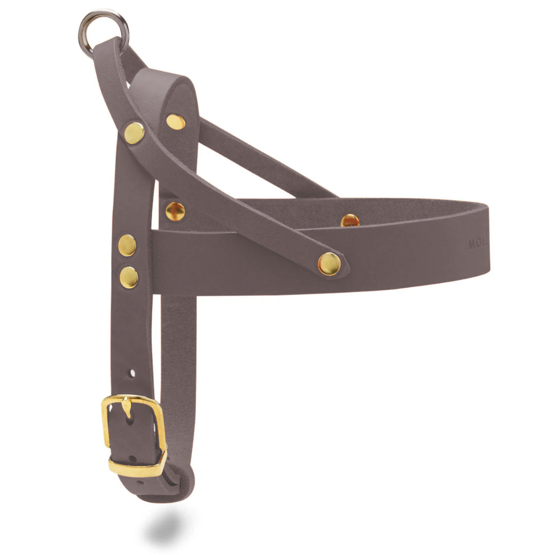HARNESSES – Molly and Stitch