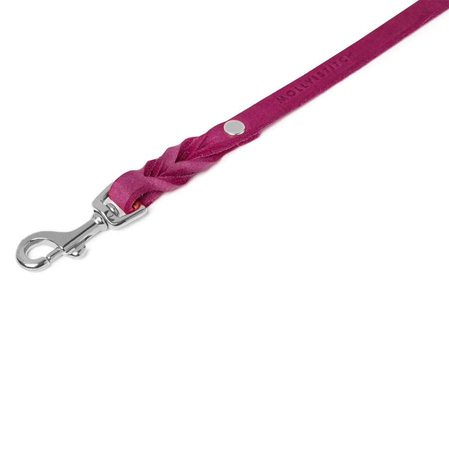 Butter Leather 3x Adjustable Dog Leash - Flamingo