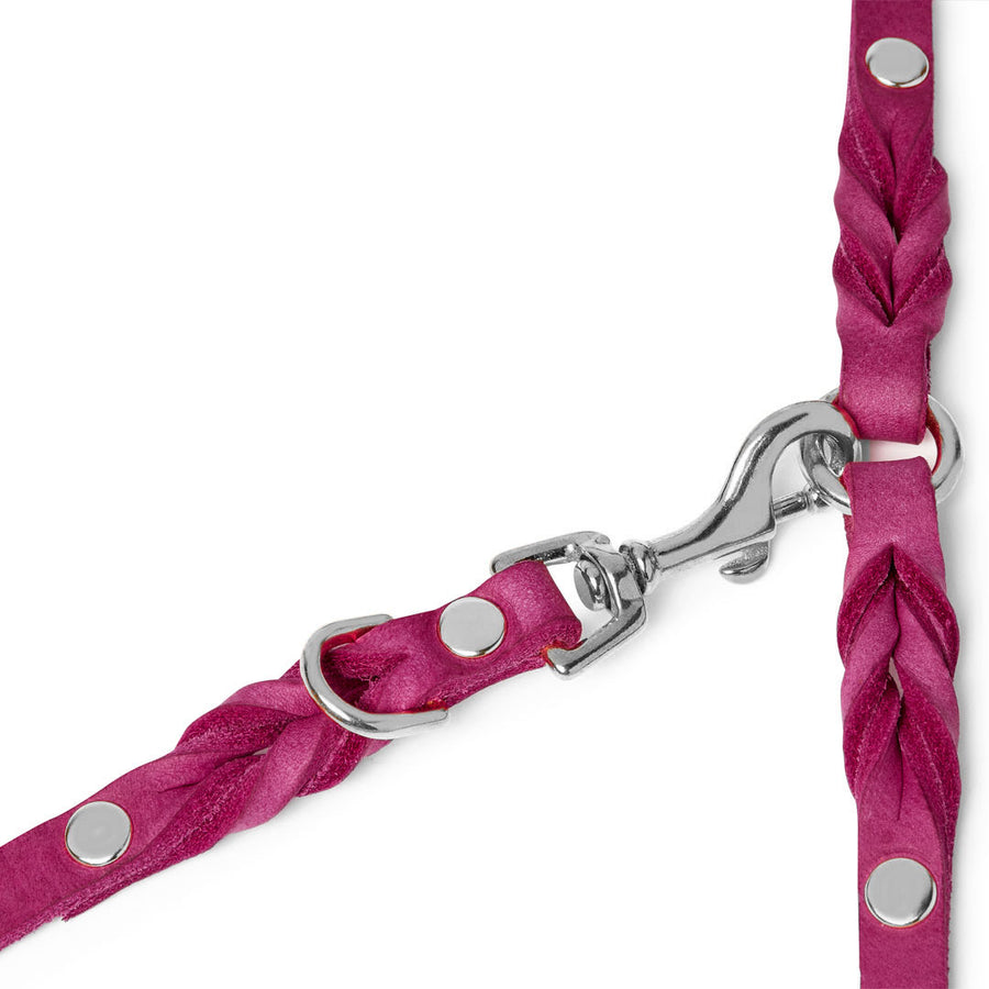 Butter Leather 3x Adjustable Dog Leash - Flamingo