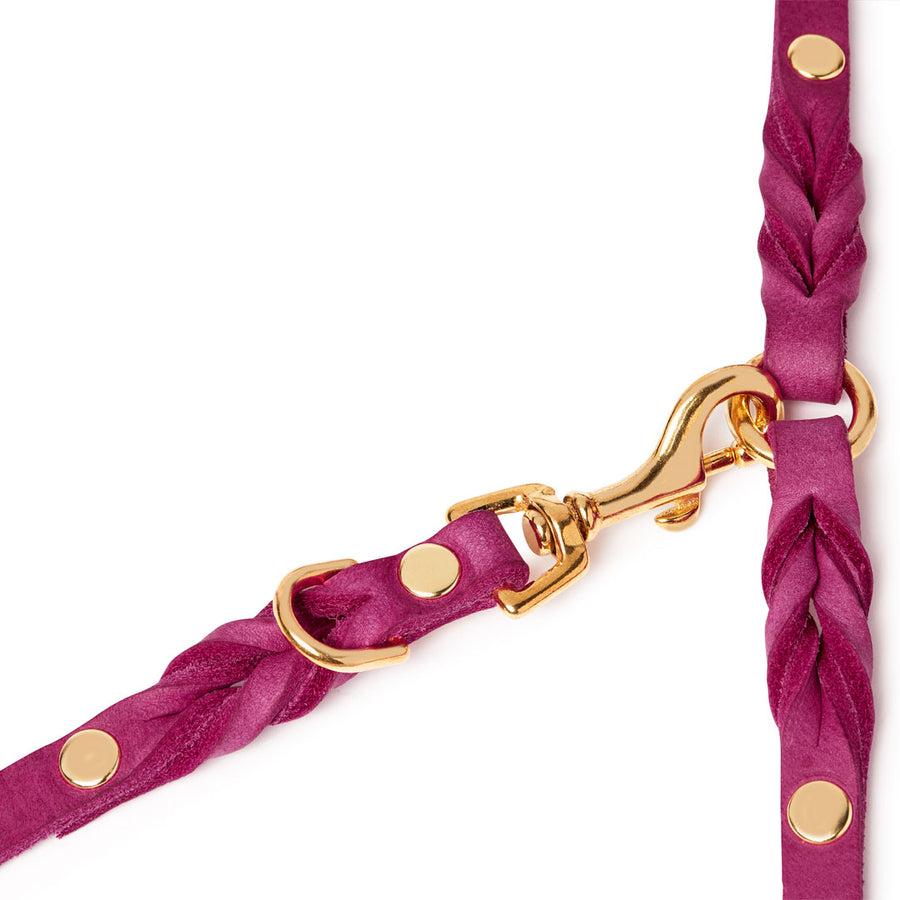 Butter Leather 3x Adjustable Dog Leash - Flamingo