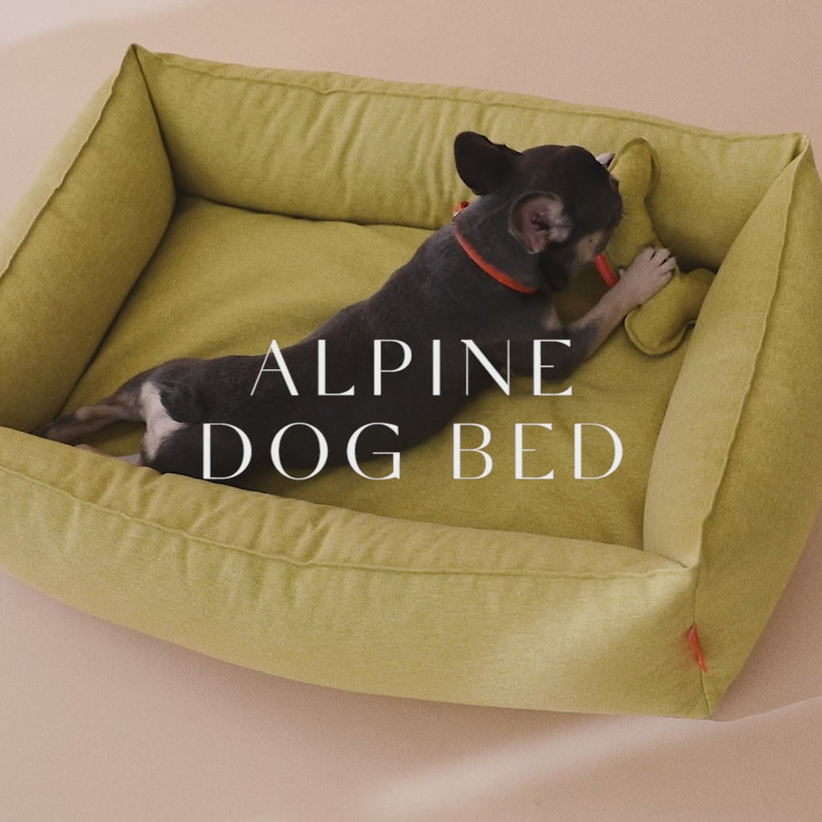 Alpine Dog Bed - Mustard