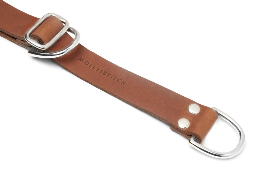 Butter Leather Retriever Dog Collar - Sahara Cognac - Molly and Stitch GmbH