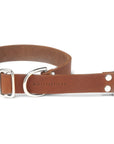 Butter Leather Retriever Dog Collar - Sahara Cognac - Molly and Stitch GmbH