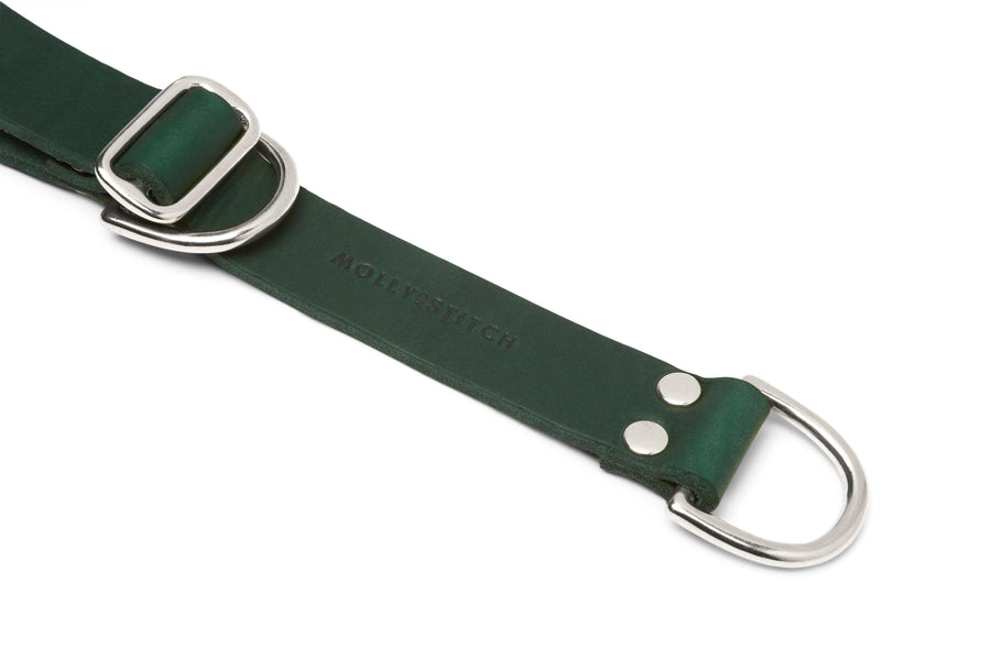 Butter Leather Retriever Dog Collar - Forest Green - Molly and Stitch GmbH