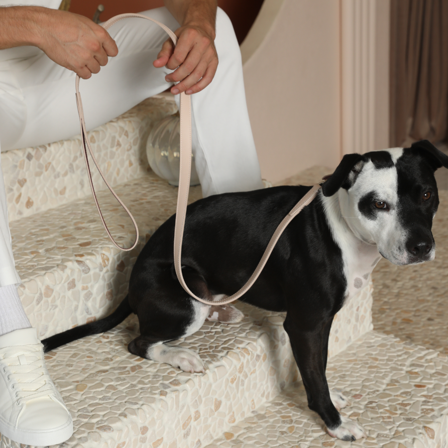 Tuscan City Leash - Rose