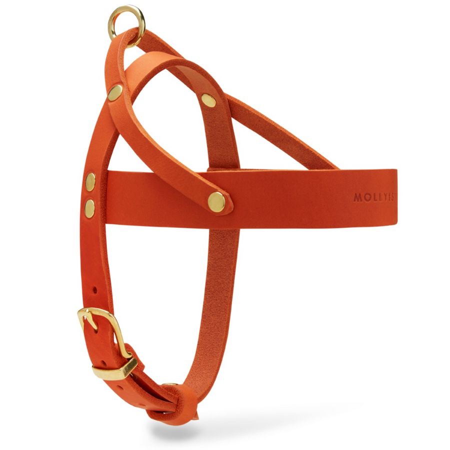 Butter Leather Dog Harness - Mango