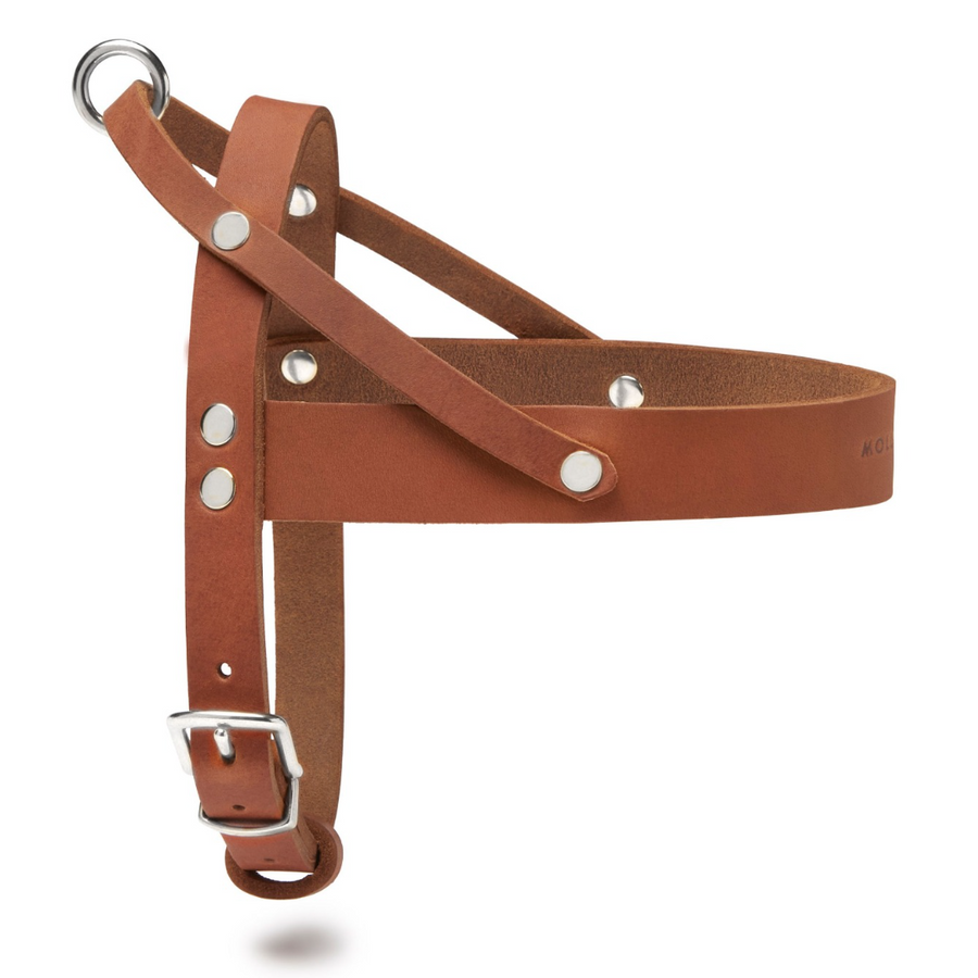 Butter Leather Dog Harness - Sahara Cognac