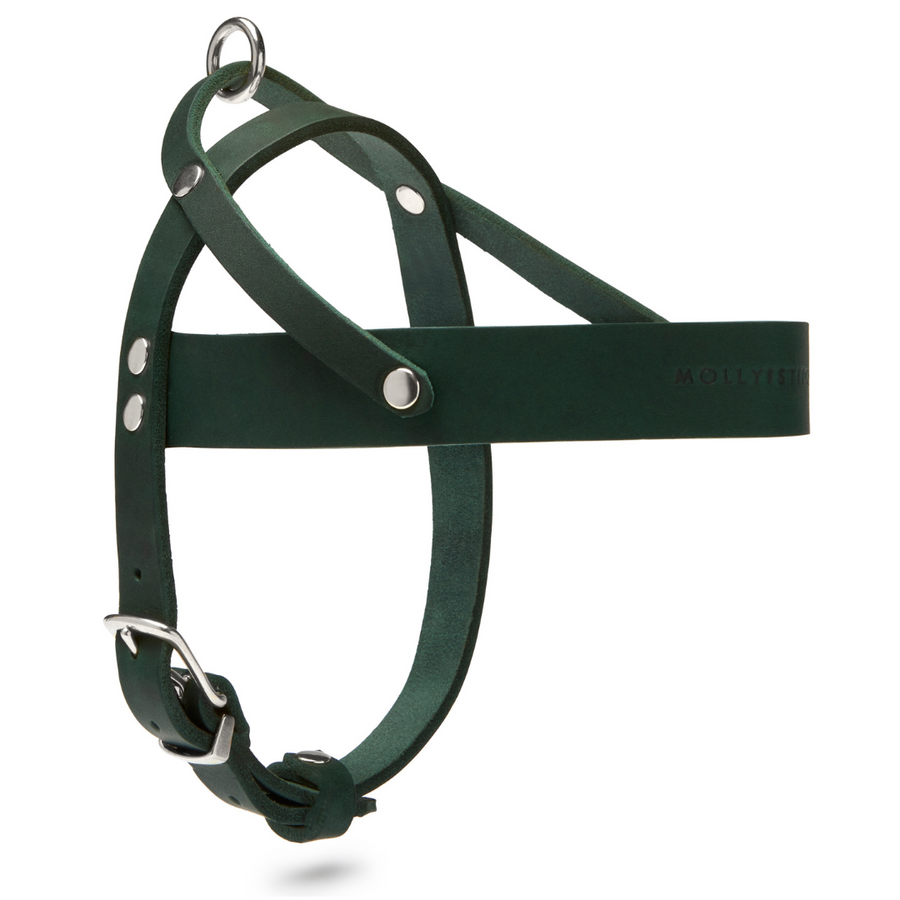 Butter Leather Dog Harness - Forest Green