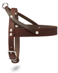 Butter Leather Dog Harness - Classic Brown