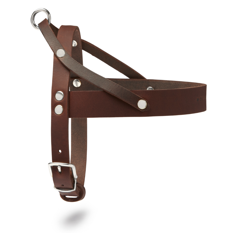 Butter Leather Dog Harness - Classic Brown