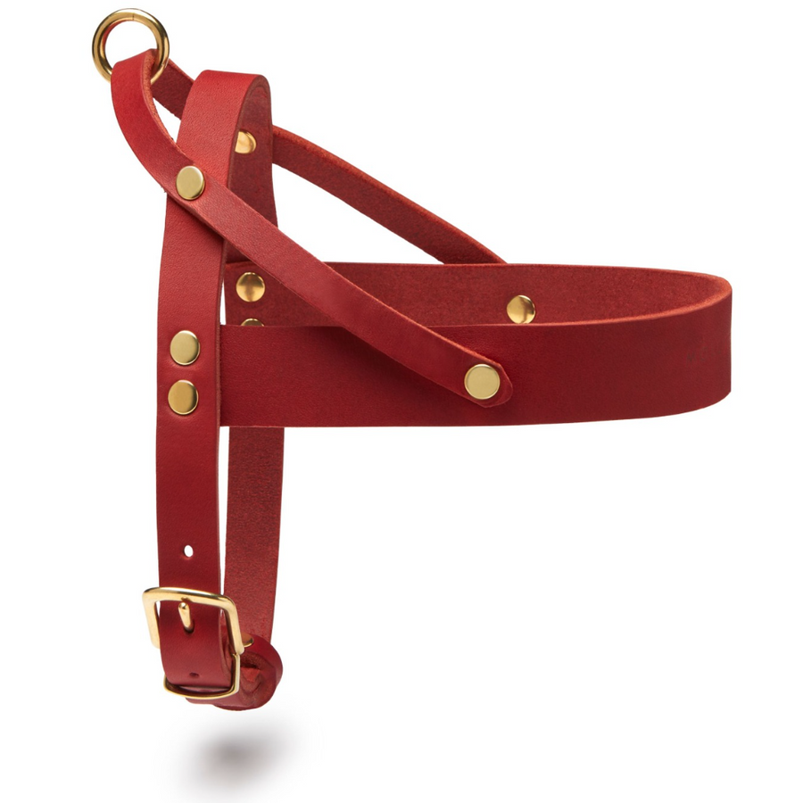 Butter Leather Dog Harness - Chili Red