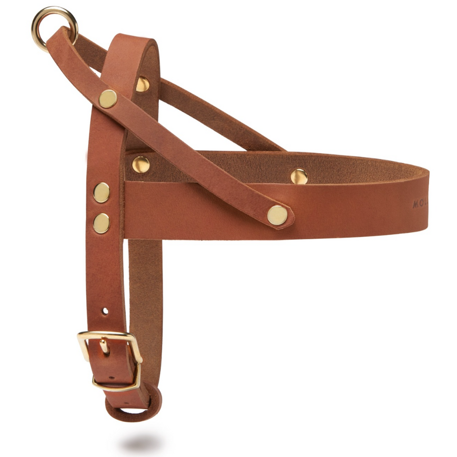 Butter Leder Hundegeschirr - Sahara Cognac