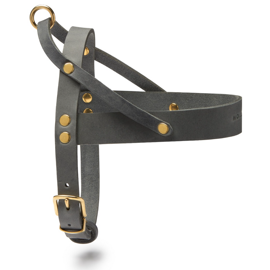 Butter Leather Dog Harness - Timeless Gray