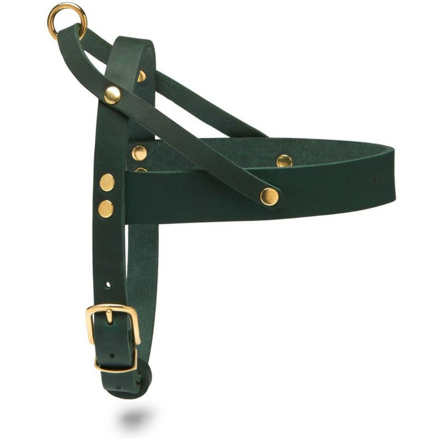 Butter Leather Dog Harness - Forest Green