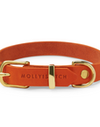 Butter Leather Dog Collar - Mango