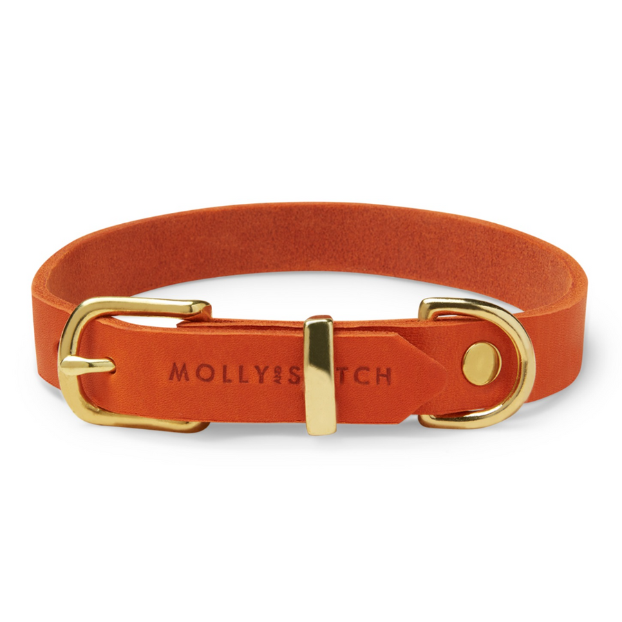 Butter Leather Dog Collar - Mango