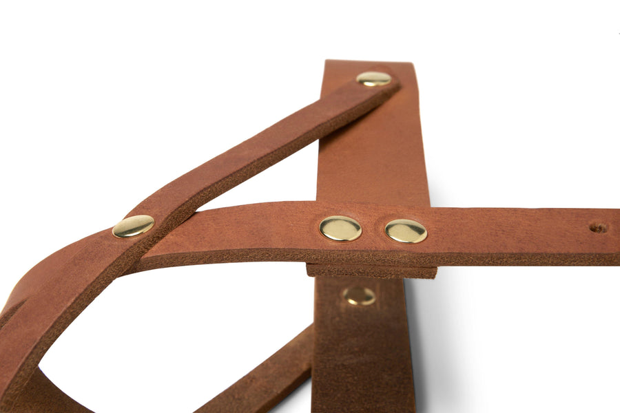 Butter Leather Dog Harness - Sahara Cognac - Molly and Stitch GmbH