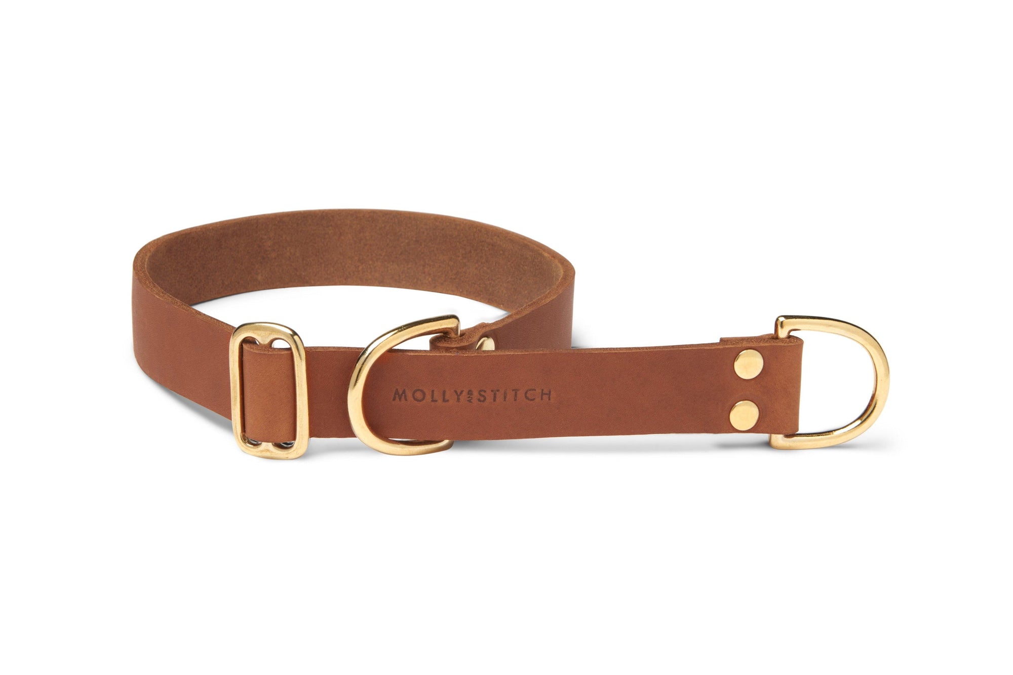 Butter Leather Retriever Dog Collar - Sahara Cognac - Molly and Stitch GmbH