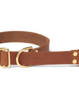 Butter Leather Retriever Dog Collar - Sahara Cognac - Molly and Stitch GmbH