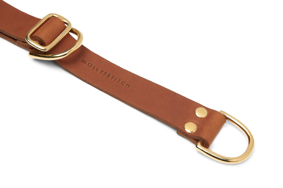 Butter Leather Retriever Dog Collar - Sahara Cognac - Molly and Stitch GmbH