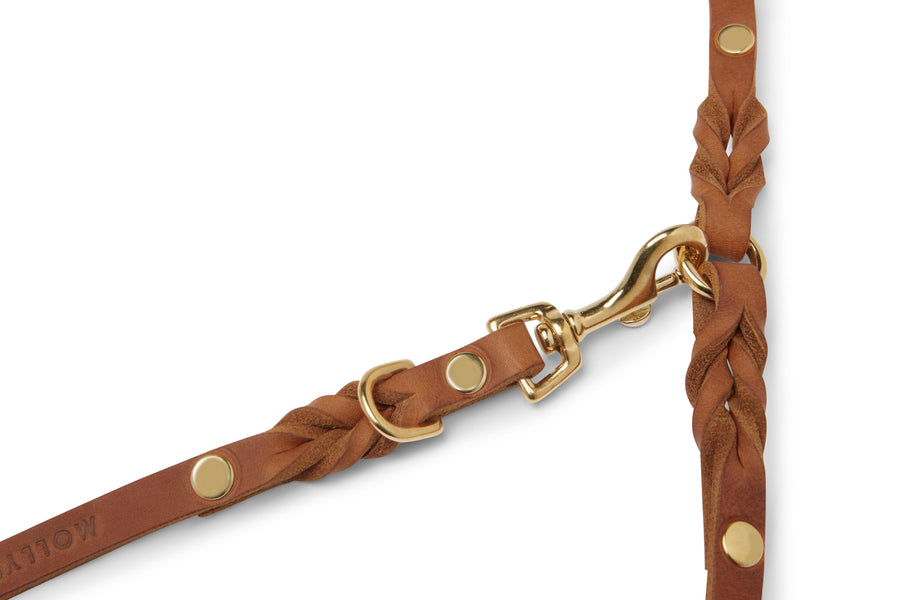 Butter Leather 3x Adjustable Dog Leash - Sahara Cognac - Molly and Stitch GmbH