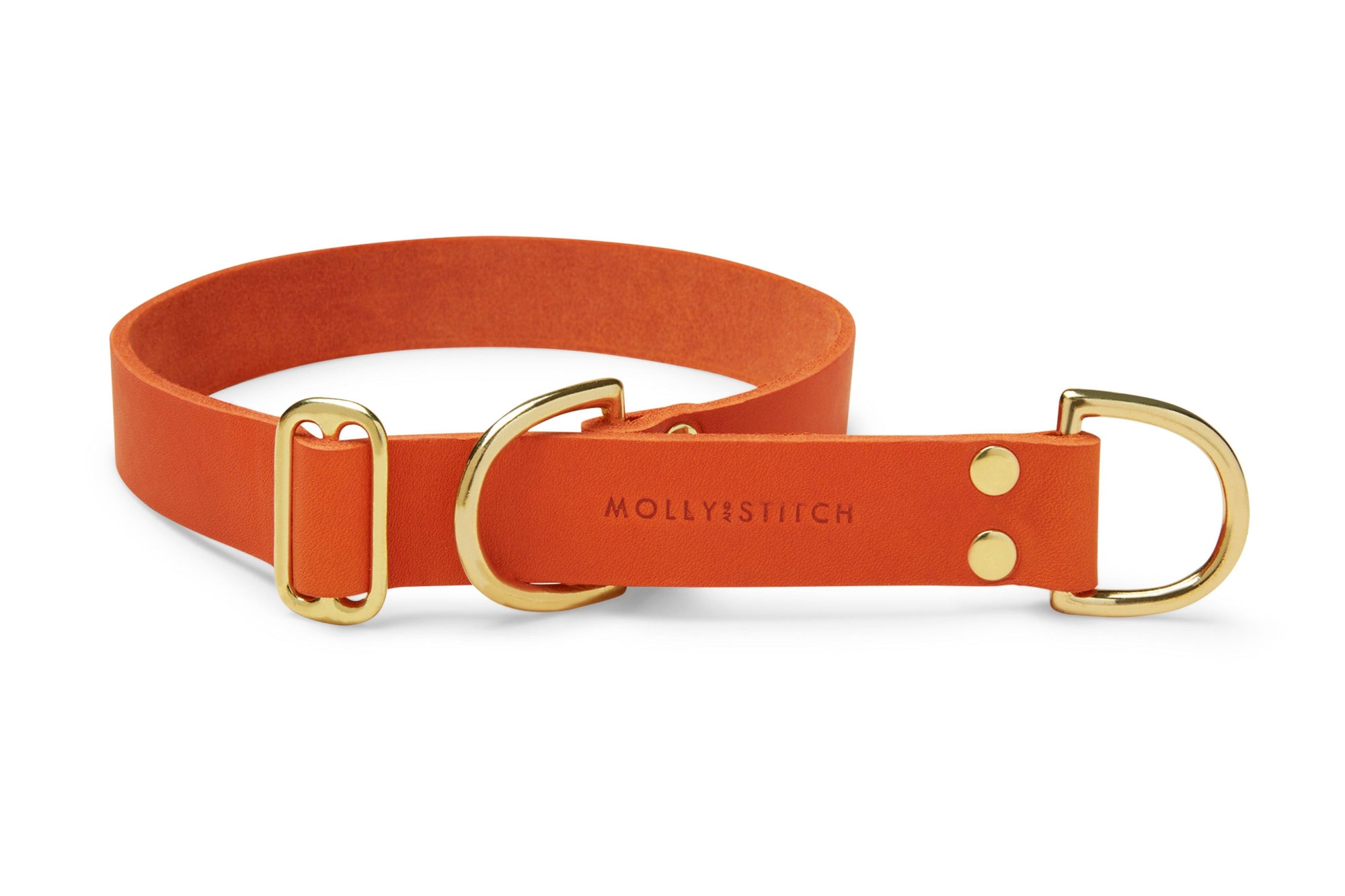 Butter Leather Retriever Dog Collar - Mango - Molly and Stitch GmbH