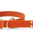 Butter Leather Retriever Dog Collar - Mango - Molly and Stitch GmbH