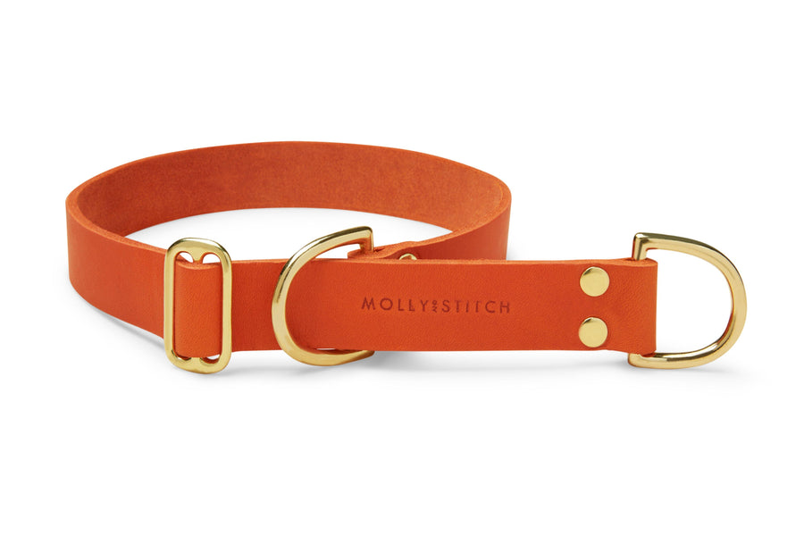 Butter Leather Retriever Dog Collar - Mango - Molly and Stitch GmbH