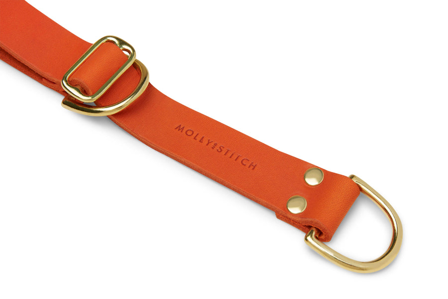 Butter Leather Retriever Dog Collar - Mango - Molly and Stitch GmbH