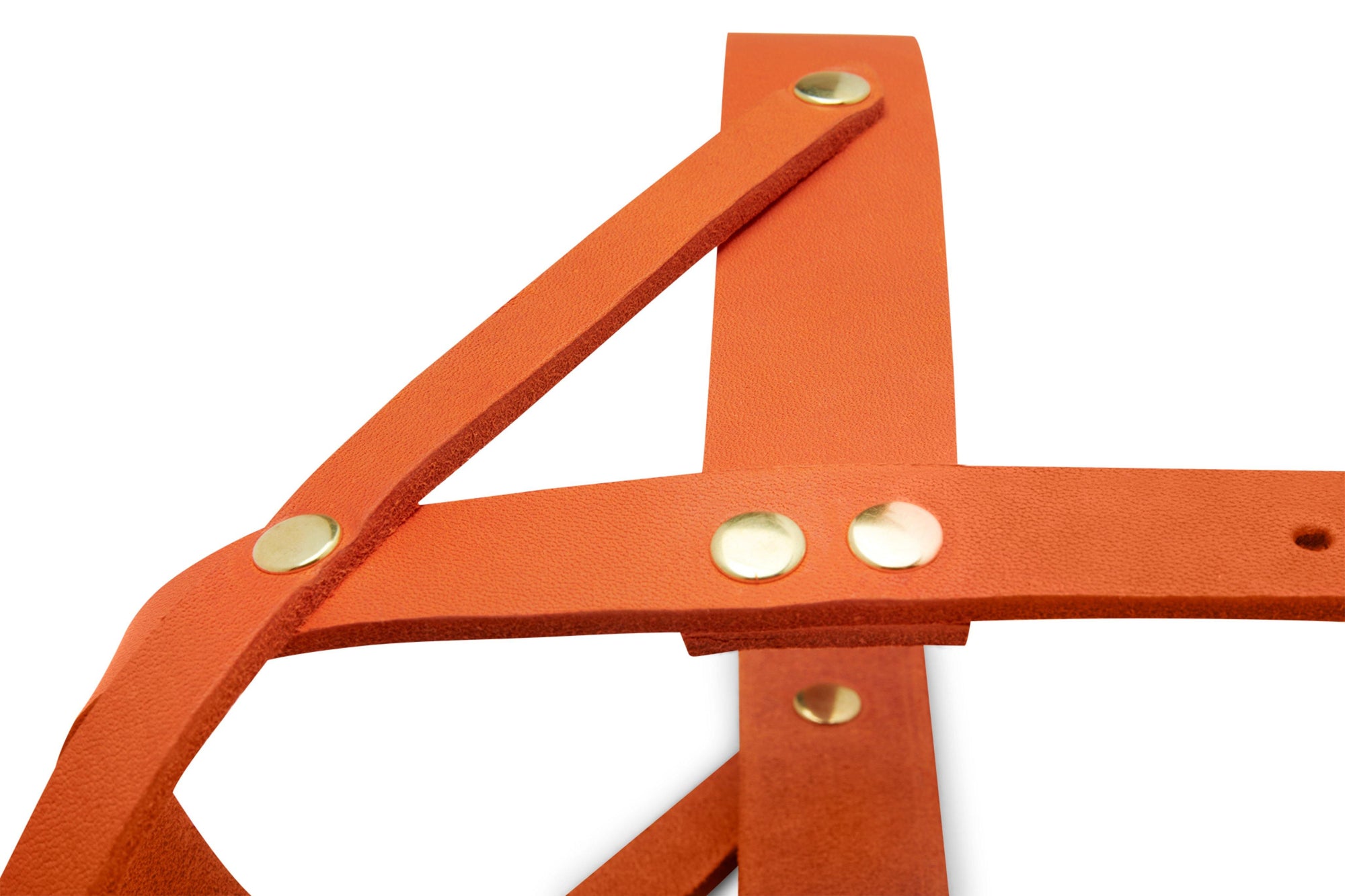 Butter Leather Dog Harness - Mango - Molly and Stitch GmbH