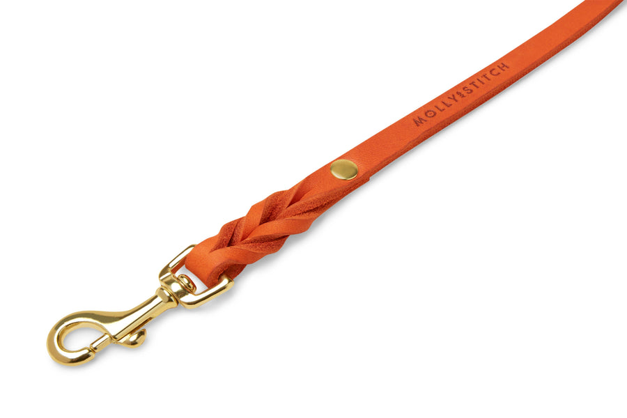 Butter Leather City Dog Leash - Mango - Molly and Stitch GmbH