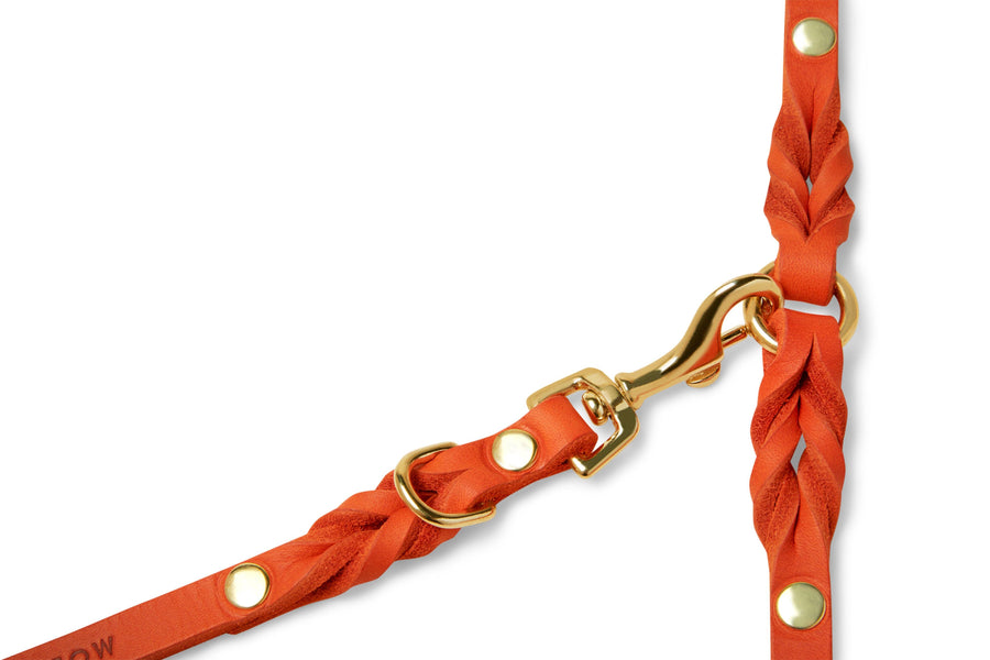 Butter Leather 3x Adjustable Dog Leash - Mango - Molly and Stitch GmbH