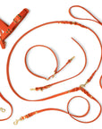 Butter Leather 3x Adjustable Dog Leash - Mango - Molly and Stitch GmbH