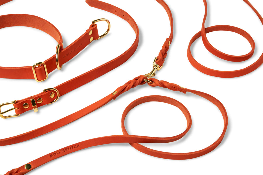 Butter Leather 3x Adjustable Dog Leash - Mango - Molly and Stitch GmbH