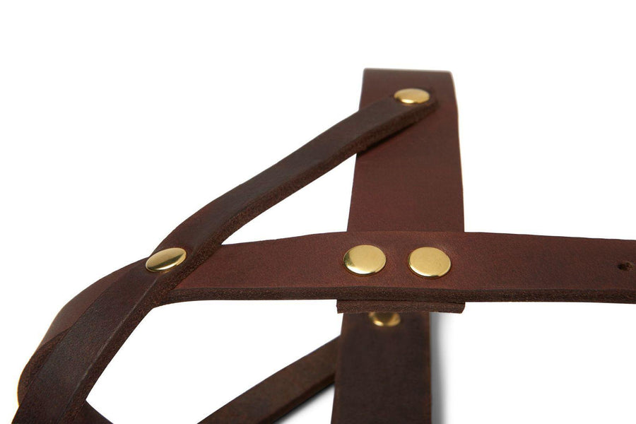 Butter Leather Dog Harness - Classic Brown - Molly and Stitch GmbH