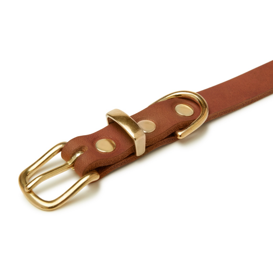 Butter Leather Dog Collar - Sahara Cognac