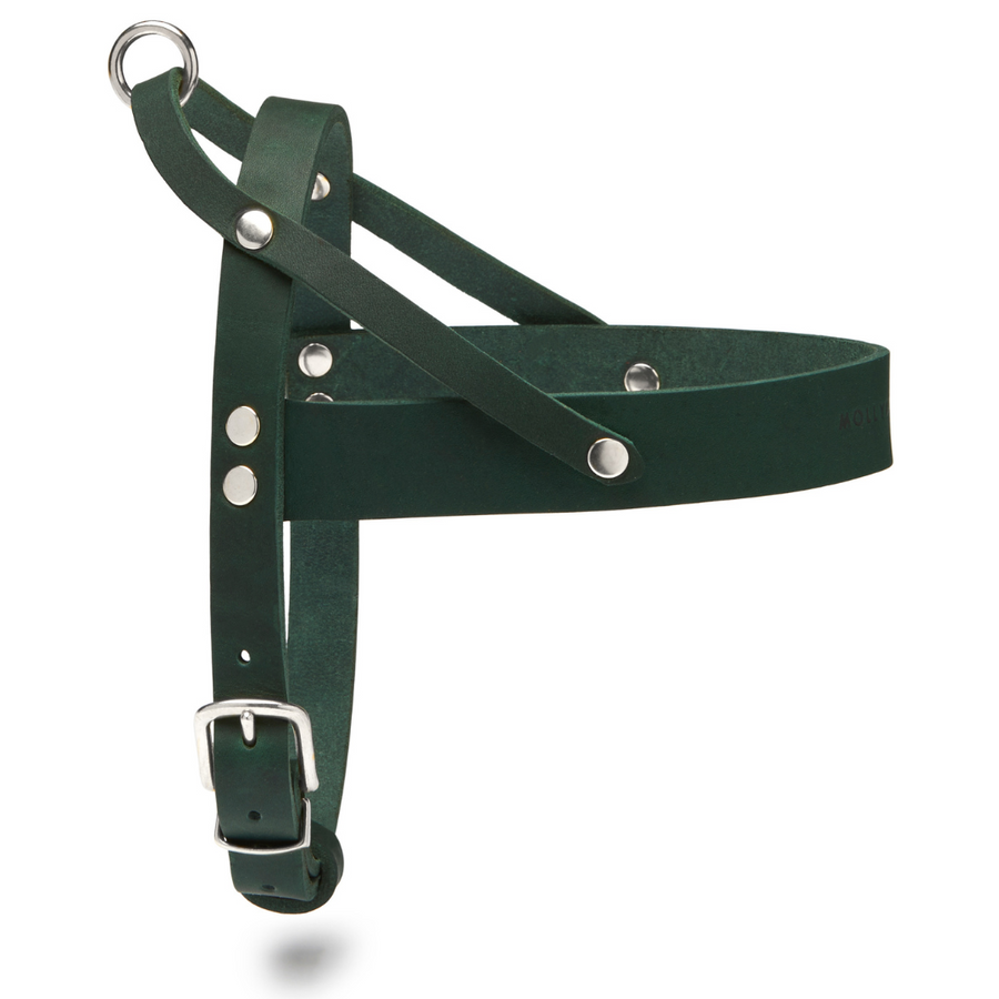 Butter Leather Dog Harness - Forest Green