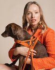 Butter Leather Dog Harness - Mango