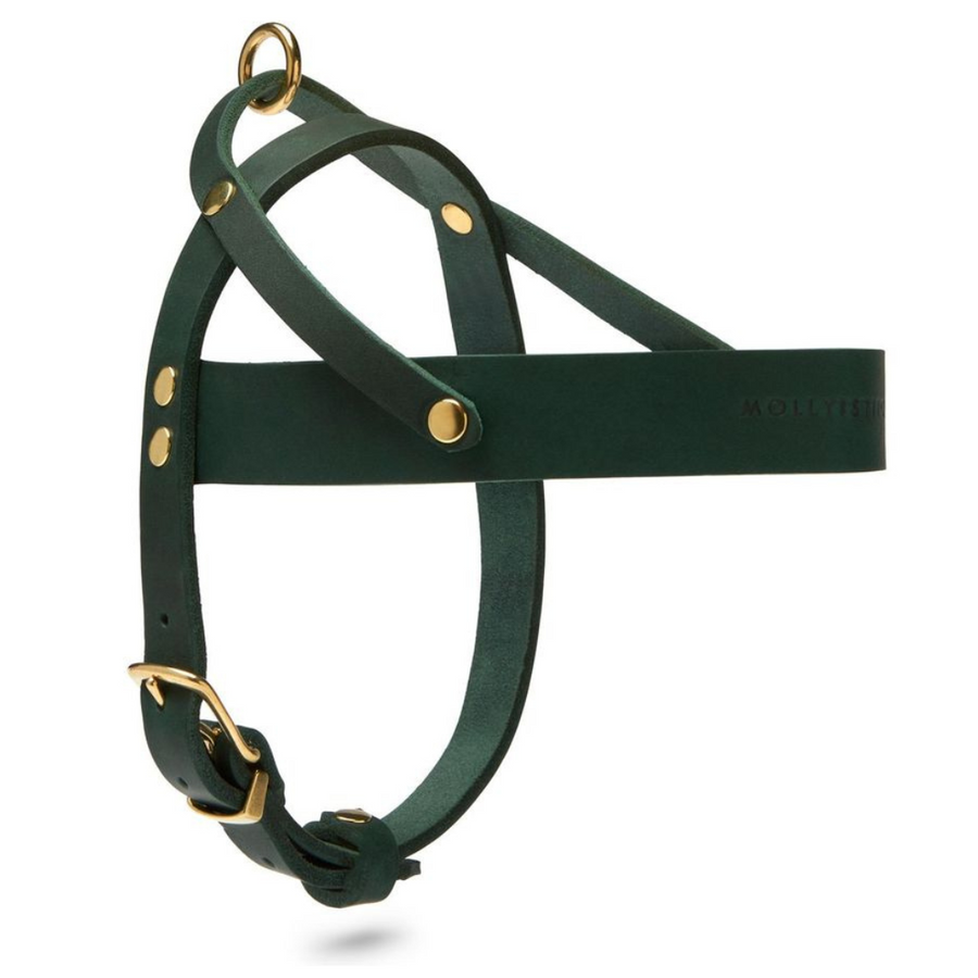 Butter Leather Dog Harness Forest Green